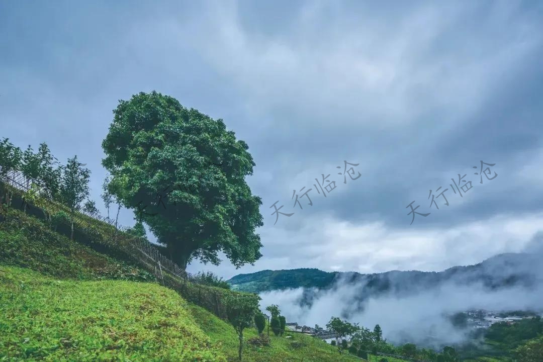 临沧乡村旅游攻略之云县漫湾镇—白莺山村 