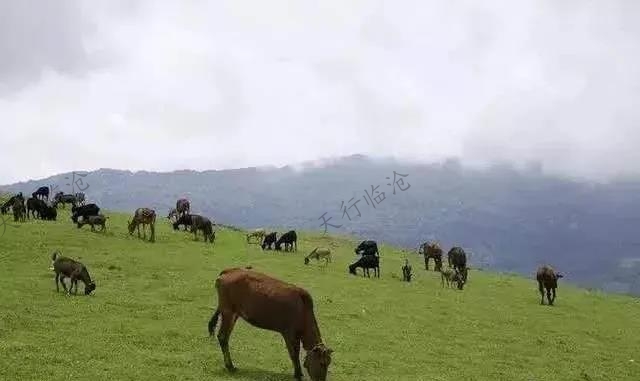 临沧小众旅游景点推荐|石洞寺