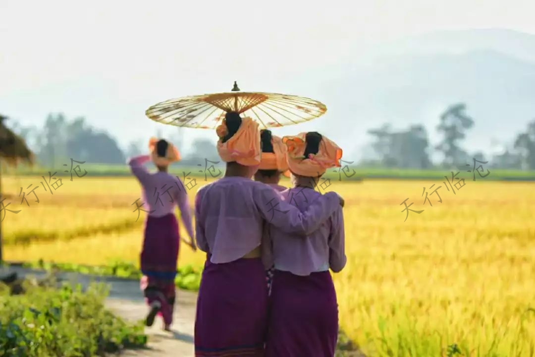 临沧研学旅行