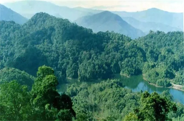 大美云南-----远山云近山雾佤族云中住这片迤逦多彩之地她就是神奇而美丽的沧源