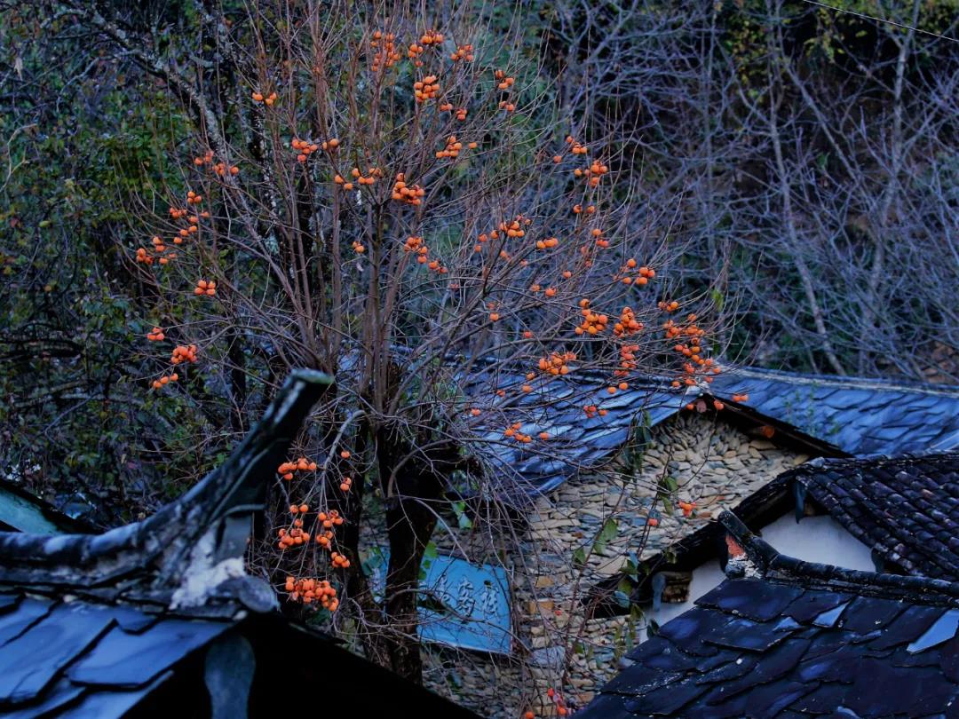 云南省临沧市凤庆县诗礼古墨村姚青春自然风光山水风景_yao285-站酷ZCOOL