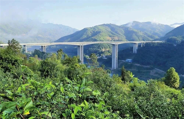 云南旅游,云南旅行社,云南团建公司,云南会议公司,云南策划公司,临沧旅游,临沧旅行社,临沧团建公司,临沧会议公司,临沧策划公司：DNA动了！在临沧解锁茶叶祖传密码