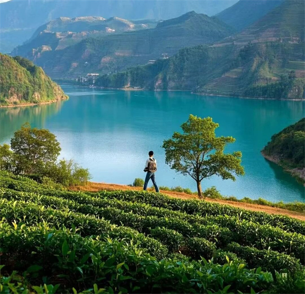 云南旅游,云南旅行社,云南团建公司,云南策划公司,云南会议会展,临沧旅游,临沧旅行社,临沧团建公司,临沧策划公司：当北方进入寒冬，春天在哪里？---在云南临沧