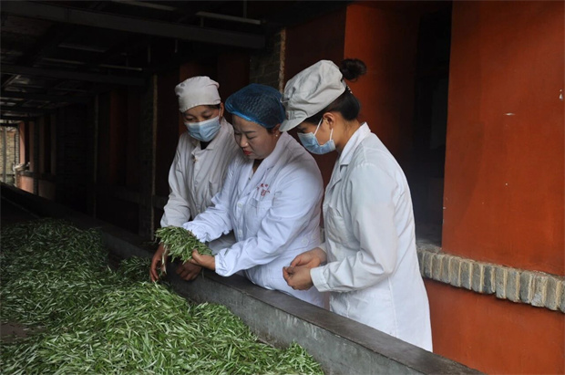 临沧旅游：临沧非遗传承人张国琴入选2025中国非遗年度新闻人物候选人